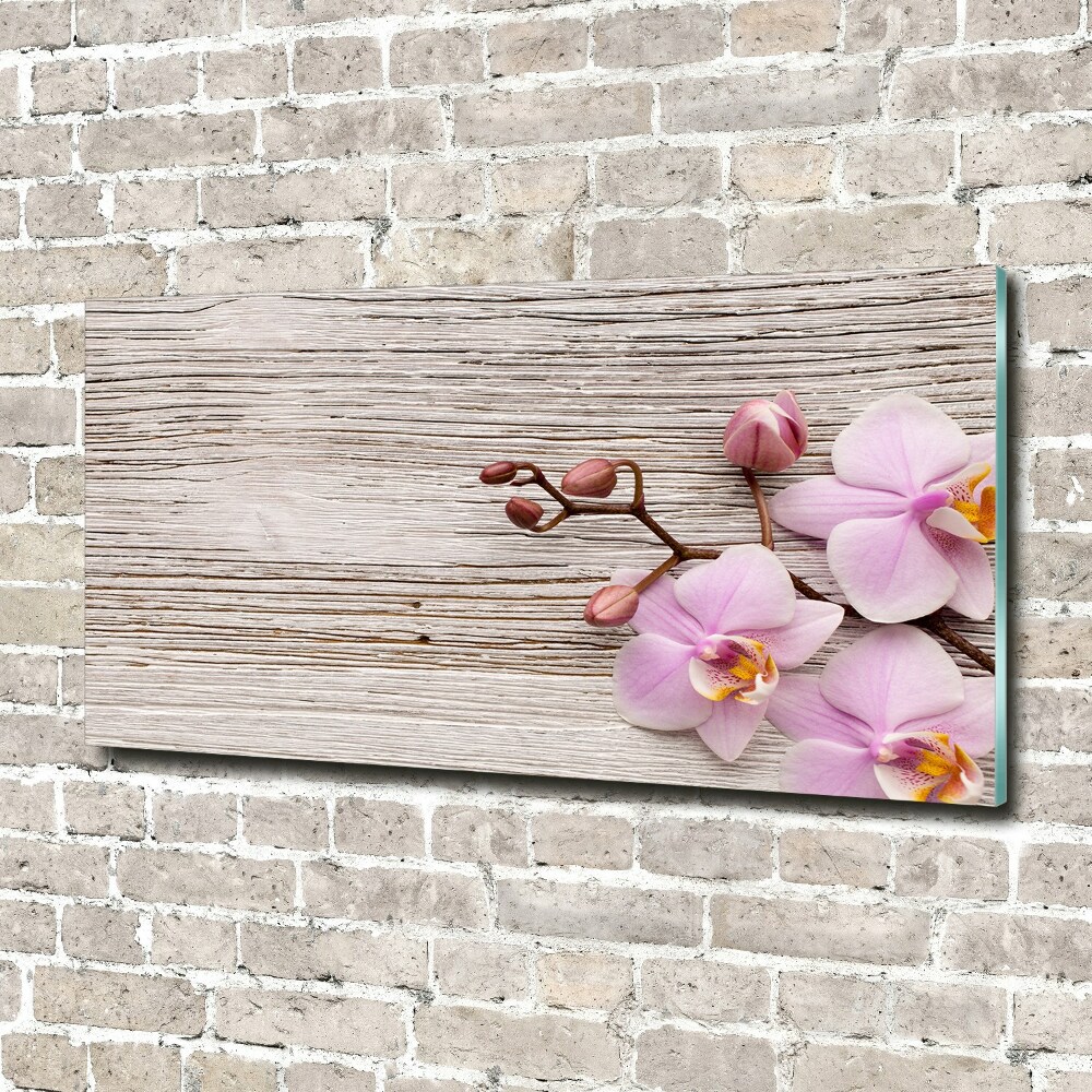 Moderní skleněný obraz z fotografie Orchidej a na stromě