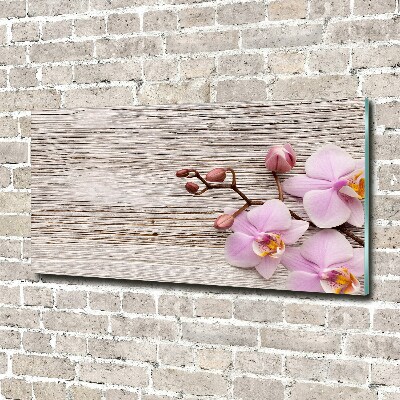 Moderní skleněný obraz z fotografie Orchidej a na stromě