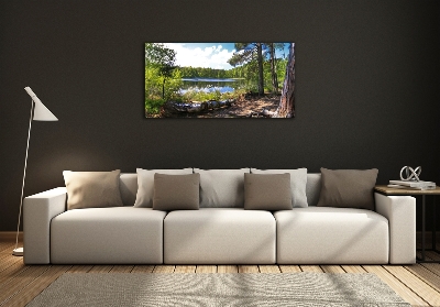 Foto obraz sklo tvrzené Lesní panorama