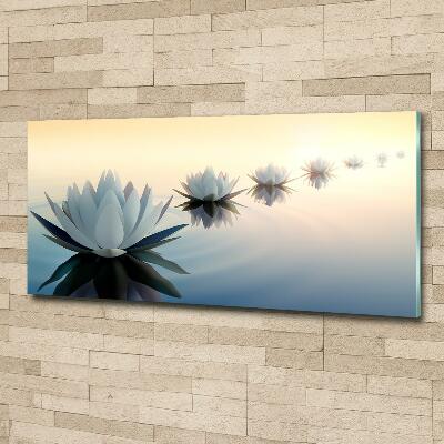 Moderní foto obraz na stěnu Květiny lotosu