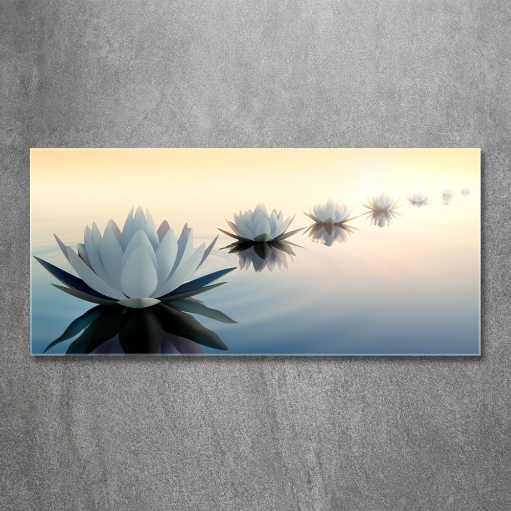 Moderní foto obraz na stěnu Květiny lotosu