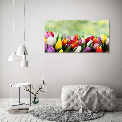 Foto-obraz fotografie na skle Barevné tulipány