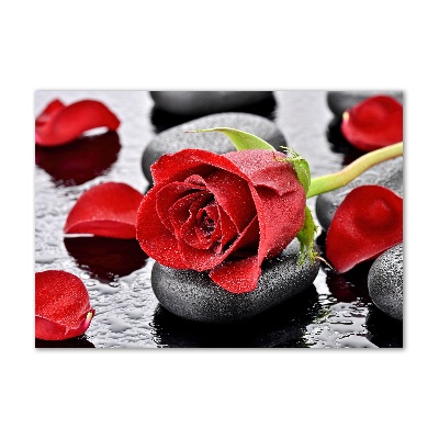 Moderní skleněný obraz z fotografie Červená růže