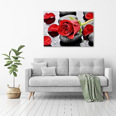 Moderní skleněný obraz z fotografie Červená růže