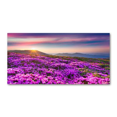 Foto-obrah sklo tvrzené Květiny v horách