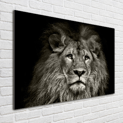 Fotoobraz na skle Lev