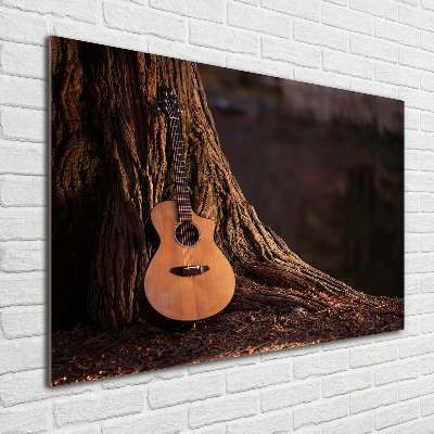 Foto-obraz fotografie na skle Akustická kytara