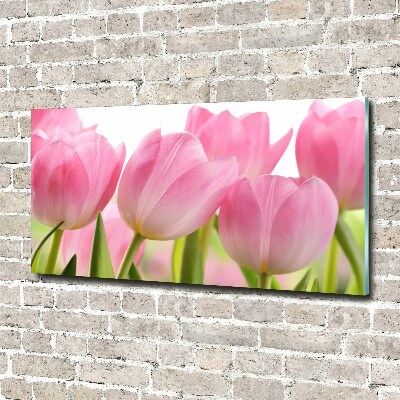 Fotoobraz na skle Růžové tulipány