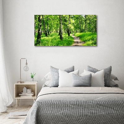 Foto obraz fotografie na skle Břízový les
