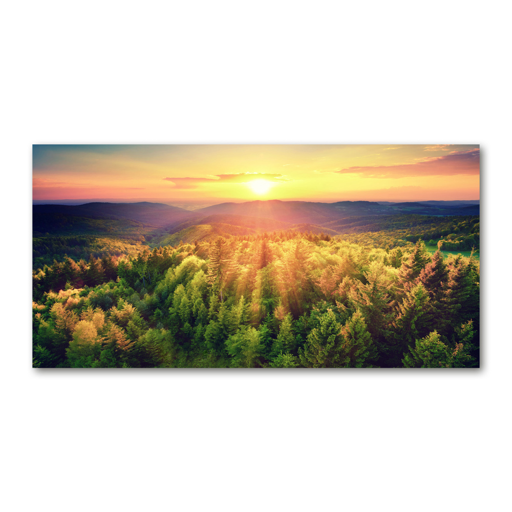 Fotoobraz na skle Les západ slunce