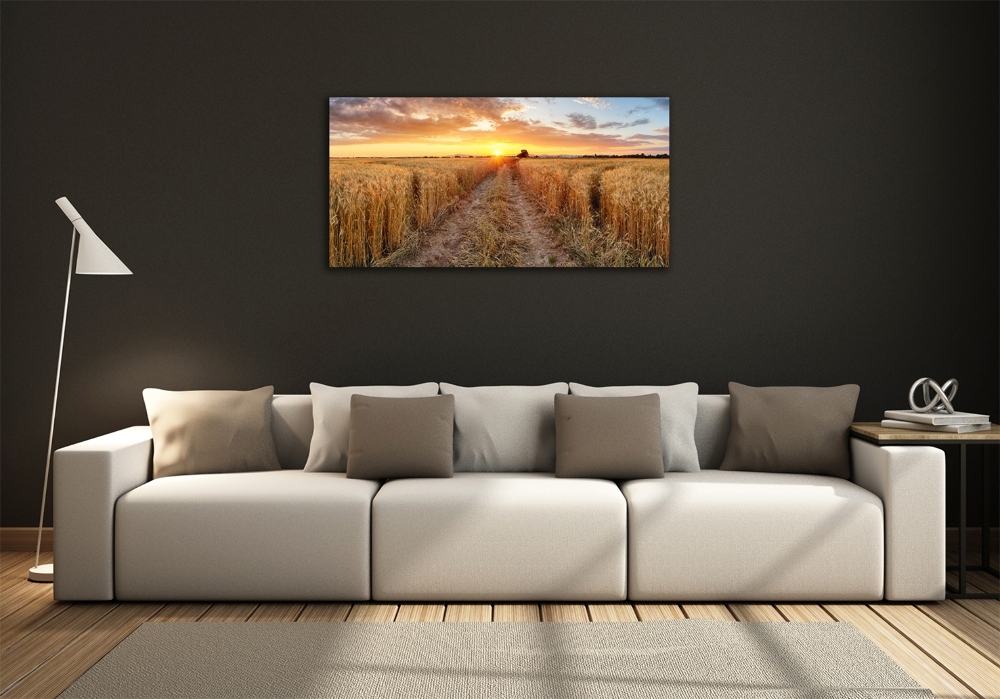 Fotoobraz na skle Pole pšenice