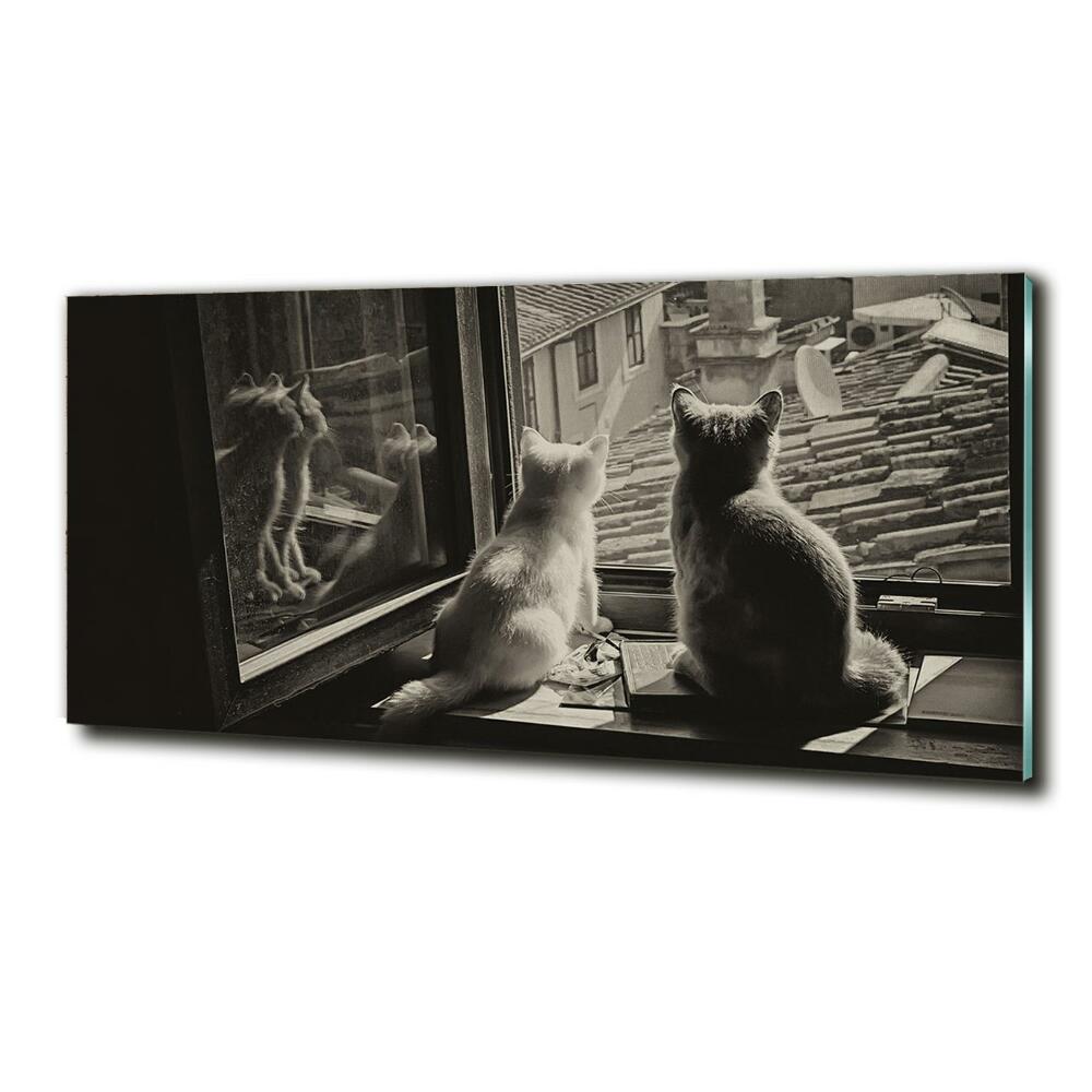 Fotoobraz na skle Kočky při okně