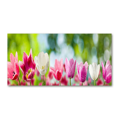 Fotoobraz na skle Tulipány