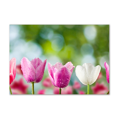 Fotoobraz na skle Tulipány