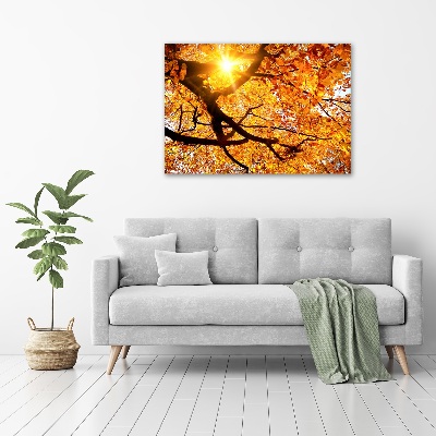 Foto-obraz fotografie na skle Koruna stromů podzim
