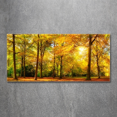 Foto obraz sklo tvrzené Podzimní les