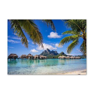 Foto obraz sklo tvrzené Palmy na Bora Bora