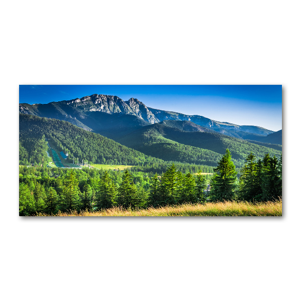 Foto-obraz fotografie na skle Skokanský můstek Tatry