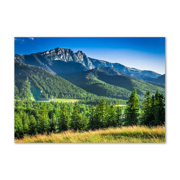 Foto-obraz fotografie na skle Skokanský můstek Tatry