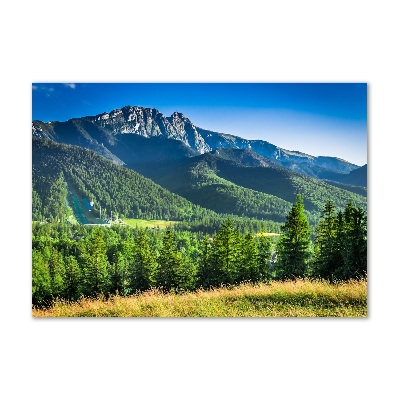 Foto-obraz fotografie na skle Skokanský můstek Tatry