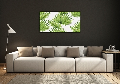 Fotoobraz na skle Tropické listí