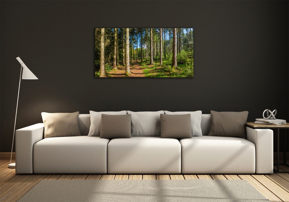 Fotoobraz na skle Lesní panorama