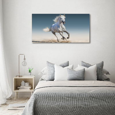 Foto-obraz na skle horizontální Bílý kůň ve cvalu