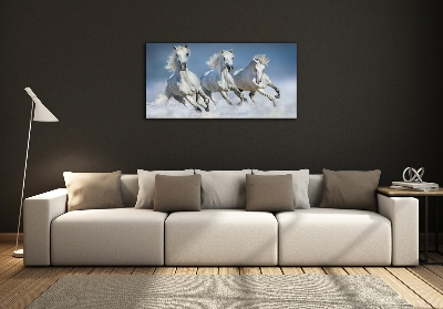 Foto-obraz na skle horizontální Koně ve cvalu
