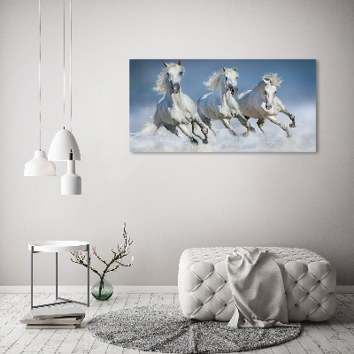 Foto-obraz na skle horizontální Koně ve cvalu