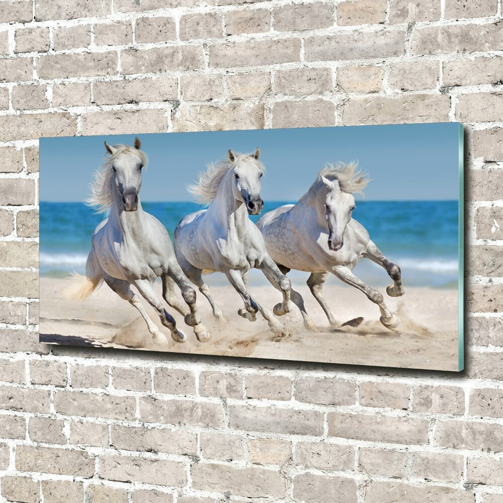 Foto-obraz na skle Bílí koně pláž