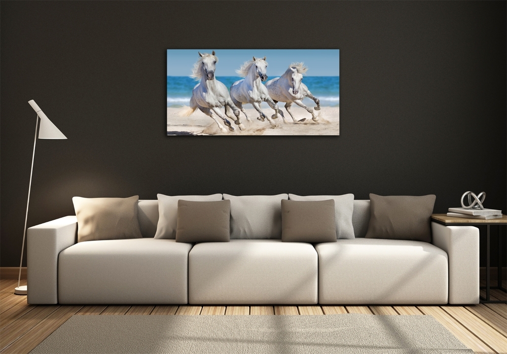 Foto-obraz na skle Bílí koně pláž