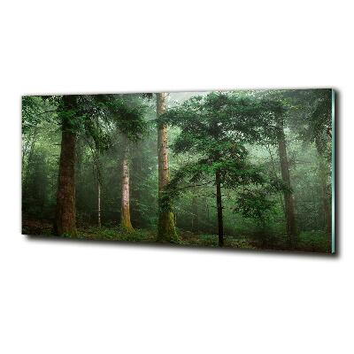 Foto obraz fotografie na skle Mlha v lese