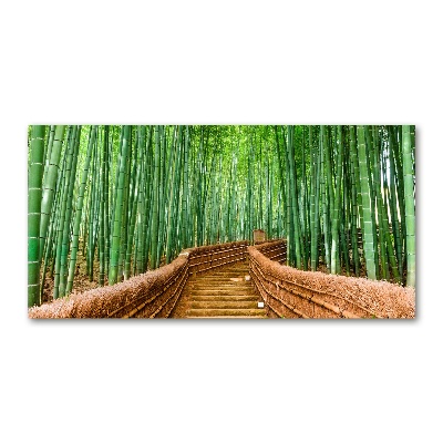 Moderní skleněný obraz z fotografie Bambusový les