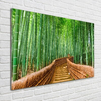 Moderní skleněný obraz z fotografie Bambusový les