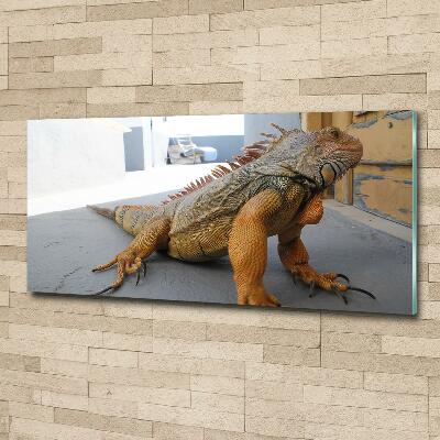 Foto-obraz na skle Iguana