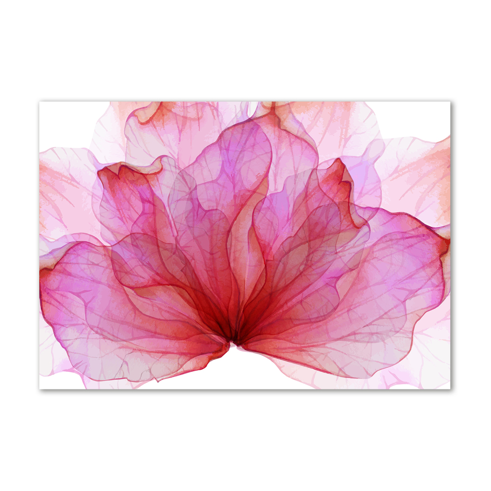 Foto obraz sklo tvrzené Růžová květina