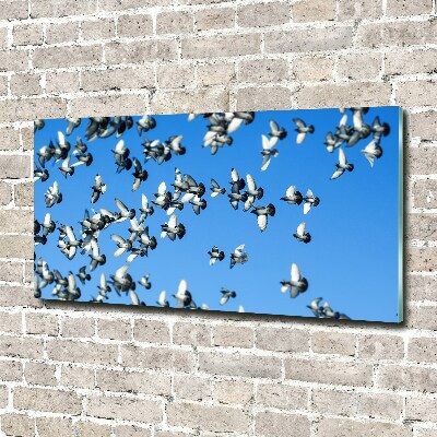 Foto-obraz fotografie na skle Stádo holubů