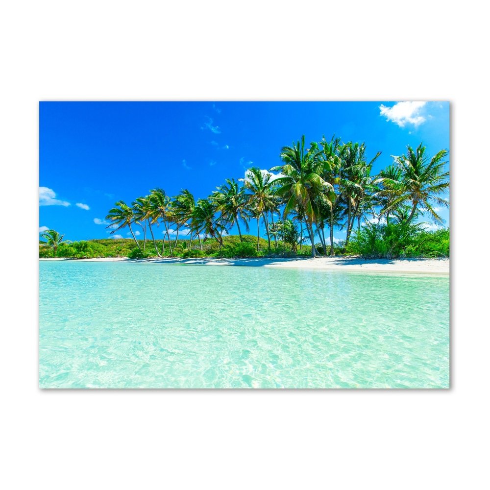 Foto obraz sklo tvrzené Tropická pláž