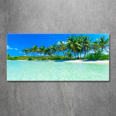 Foto obraz sklo tvrzené Tropická pláž