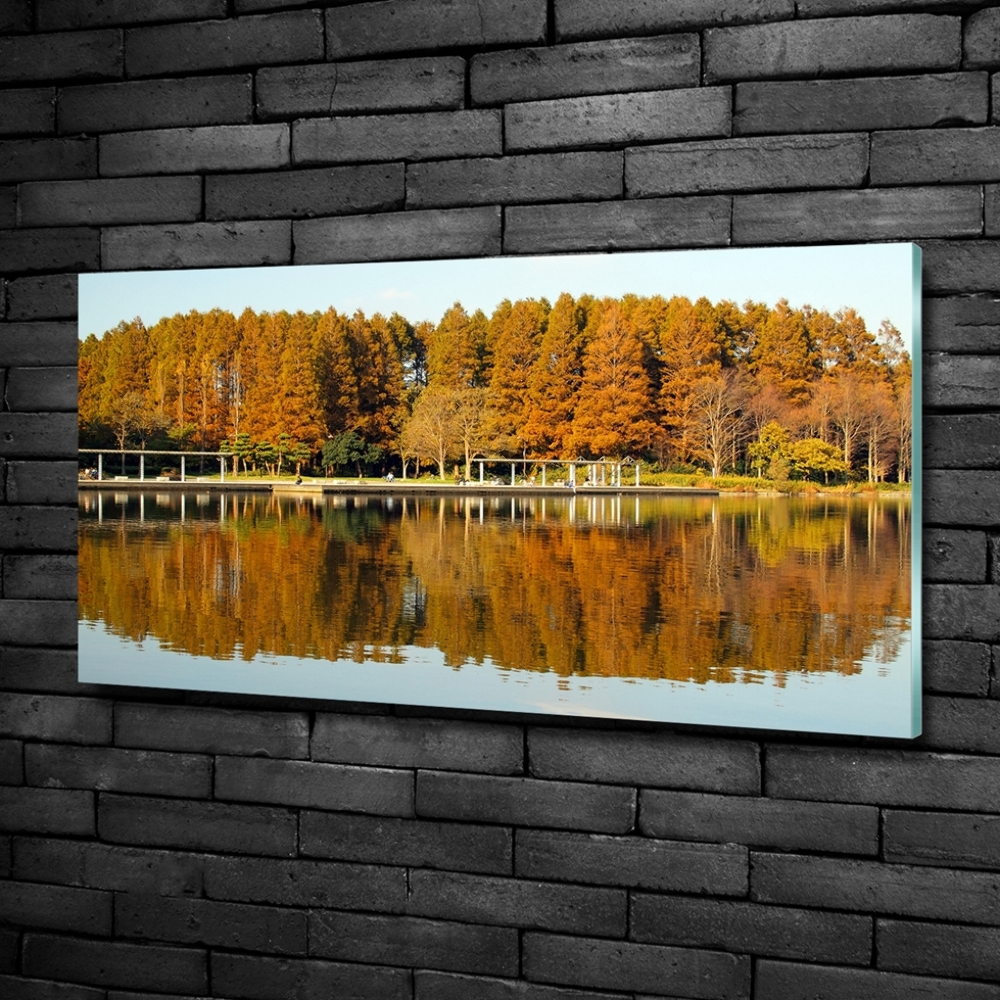 Foto obraz sklo tvrzené Les na jezerem