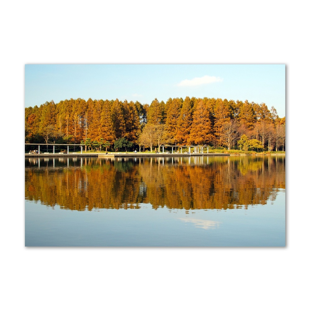 Foto obraz sklo tvrzené Les na jezerem