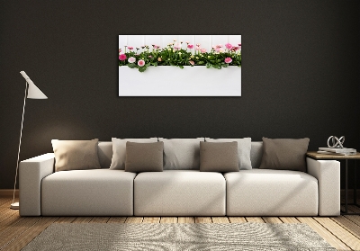 Foto obraz skleněný horizontální Růžové sedmikrásky