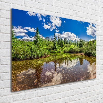 Foto obraz sklo tvrzené Jezerov lese