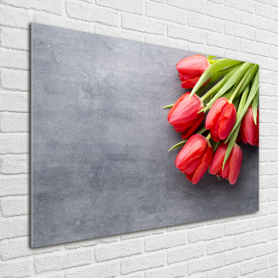 Foto obraz fotografie na skle Červené tulipány