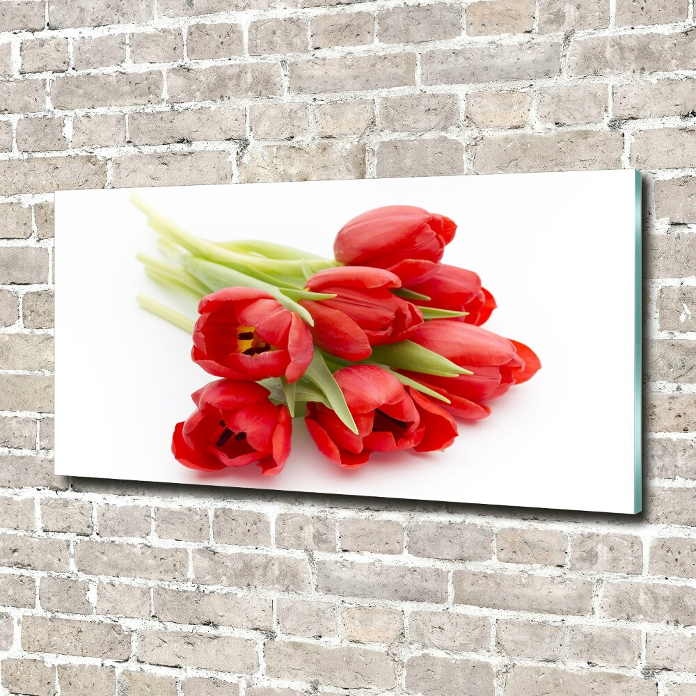 Foto obraz skleněný horizontální Červené tulipány