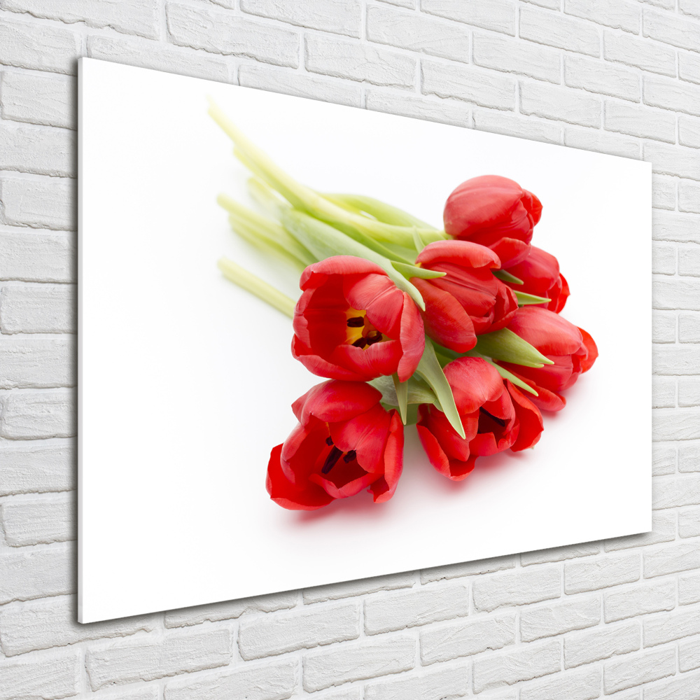 Foto obraz skleněný horizontální Červené tulipány