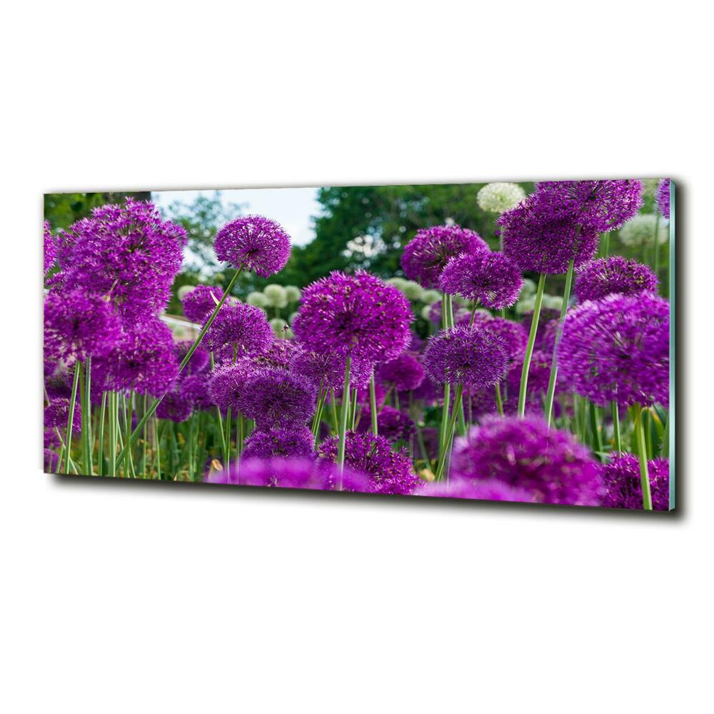 Fotoobraz na skle Květ česneku
