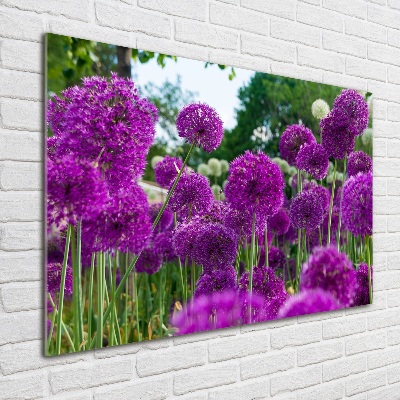 Fotoobraz na skle Květ česneku