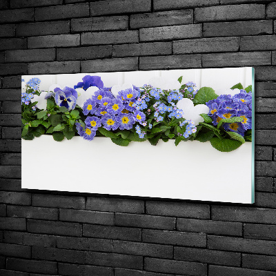 Foto-obrah sklo tvrzené Modré květiny
