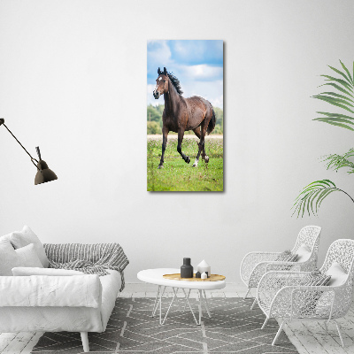 Vertikální Vertikální Foto obraz sklo tvrzené Kůň na poli